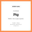 pig แปลว่า?, คำสแลงภาษาอังกฤษ pig ตัวอย่าง He is a pig at parties.