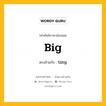 big เป็นคำตรงข้ามกับคำไหนบ้าง?, คำศัพท์ภาษาอังกฤษที่มีความหมายตรงข้ามกัน big ตรงข้ามกับ tiny หมวด tiny