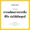 การพลัดพรากจากสิ่งที่รัก ก่อให้เกิดทุกข์ หมายถึงอะไร?, พุทธสุภาษิต การพลัดพรากจากสิ่งที่รัก ก่อให้เกิดทุกข์ หมวดหมู่ หมวดทุกข์-พ้นทุกข์ หมวด หมวดทุกข์-พ้นทุกข์