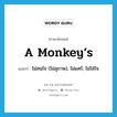 A monkey’s แปลว่า?, คำศัพท์ภาษาอังกฤษ A monkey’s แปลว่า ไม่สนใจ (ไม่สุภาพ), ไม่แคร์, ไม่ใส่ใจ ประเภท SL หมวด SL