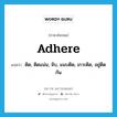 adhere แปลว่า?, คำศัพท์ภาษาอังกฤษ adhere แปลว่า ติด, ติดแน่น, จับ, แนบติด, เกาะติด, อยู่ติดกัน ประเภท VI หมวด VI