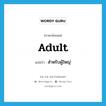 สำหรับผู้ใหญ่ ภาษาอังกฤษ?, คำศัพท์ภาษาอังกฤษ สำหรับผู้ใหญ่ แปลว่า adult ประเภท ADJ หมวด ADJ