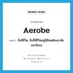 aerobe แปลว่า?, คำศัพท์ภาษาอังกฤษ aerobe แปลว่า สิ่งมีชีวิต, สิ่งที่มีชีวิตอยู่ได้โดยต้องอาศัยออกซิเจน ประเภท N หมวด N