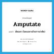 amputate แปลว่า?, คำศัพท์ภาษาอังกฤษ amputate แปลว่า ตัดออก (โดยเฉพาะด้วยการผ่าตัด) ประเภท VI หมวด VI