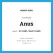 anus แปลว่า?, คำศัพท์ภาษาอังกฤษ anus แปลว่า ทวารหนัก, ช่องทวารหนัก ประเภท N หมวด N