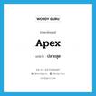 ปลายสุด ภาษาอังกฤษ?, คำศัพท์ภาษาอังกฤษ ปลายสุด แปลว่า apex ประเภท N หมวด N