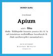 Apium แปลว่า?, คำศัพท์ภาษาอังกฤษ Apium แปลว่า ชีล้อม ประเภท N เพิ่มเติม ชื่อไม้ล้มลุกชนิด Oenanthe javanica (Bl.) DC. ในวงศ์ Umbelliferae ชอบขึ้นในที่ชื้นแฉะ ใบแบนรีขอบจัก ใช้เป็นผัก ดอกเป็นกระจุกสีขาว ผลกลมค่อนข้างยาว หมวด N