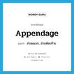 appendage แปลว่า?, คำศัพท์ภาษาอังกฤษ appendage แปลว่า ส่วนผนวก, ส่วนห้อยท้าย ประเภท N หมวด N