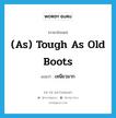 (as) tough as old boots แปลว่า?, คำศัพท์ภาษาอังกฤษ (as) tough as old boots แปลว่า เหนียวมาก ประเภท IDM หมวด IDM