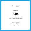 bait แปลว่า?, คำศัพท์ภาษาอังกฤษ bait แปลว่า หยอกล้อ, เย้าแหย่ ประเภท VT หมวด VT