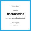 barracudas แปลว่า?, คำศัพท์ภาษาอังกฤษ barracudas แปลว่า คำนามพหูพจน์ของ barracuda ประเภท N หมวด N