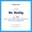 be moldy แปลว่า?, คำศัพท์ภาษาอังกฤษ be moldy แปลว่า ขึ้นรา ประเภท V ตัวอย่าง ขนมปังพวกนี้ขึ้นราหมดแล้ว คงเก็บไว้นานเกินไป เพิ่มเติม เป็นราปรากฎอยู่ที่สิ่งของนั้น หมวด V