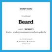 beard แปลว่า?, คำศัพท์ภาษาอังกฤษ beard แปลว่า หนวดเครา ประเภท N ตัวอย่าง เขาเม้มปากจนหนวดเครากลายเป็นกระจุกเดียวกัน หมวด N