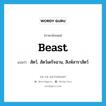 beast แปลว่า?, คำศัพท์ภาษาอังกฤษ beast แปลว่า สัตว์, สัตว์เดรัจฉาน, สิงห์สาราสัตว์ ประเภท N หมวด N