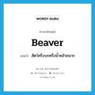 beaver แปลว่า?, คำศัพท์ภาษาอังกฤษ beaver แปลว่า สัตว์ครึ่งบกครึ่งน้ำคล้ายนาก ประเภท N หมวด N