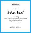 betel leaf แปลว่า?, คำศัพท์ภาษาอังกฤษ betel leaf แปลว่า ใบพลู ประเภท N ตัวอย่าง ย่าหยิบใบพลูป้ายปูนพับเล็กๆ ใส่ลงในตะบันตำถี่ๆ เป็นภาพที่ชินตาข้าพเจ้าอยู่ทุกวัน เพิ่มเติม ใบของต้นพลู หมวด N