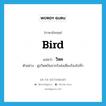 bird แปลว่า?, คำศัพท์ภาษาอังกฤษ bird แปลว่า วิหค ประเภท N ตัวอย่าง ฝูงวิหคบินจากรังส่งเสียงร้องไปทั่ว หมวด N