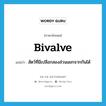 bivalve แปลว่า?, คำศัพท์ภาษาอังกฤษ bivalve แปลว่า สัตว์ที่มีเปลือกสองส่วนแยกจากกันได้ ประเภท N หมวด N