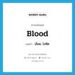 เลือด, โลหิต ภาษาอังกฤษ?, คำศัพท์ภาษาอังกฤษ เลือด, โลหิต แปลว่า blood ประเภท N หมวด N