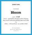 bloom แปลว่า?, คำศัพท์ภาษาอังกฤษ bloom แปลว่า การผลิ ประเภท N ตัวอย่าง ฤดูใบไม้ผลิเริ่มมาเยือนตุ่มตาของกิ่งยางเริ่มตูมเต่งสัญญาณแห่งการผลิใบอ่อนของพืชพันธุ์ฉายชัดยามเพ่งมองที่กิ่งก้าน เพิ่มเติม การเริ่มงอกปริออกมา เช่น ดอกไม้ผล ใบไม้ผลิ หมวด N