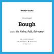 bough แปลว่า?, คำศัพท์ภาษาอังกฤษ bough แปลว่า กิ่ง, กิ่งก้าน, กิ่งไม้, กิ่งก้านสาขา ประเภท N หมวด N