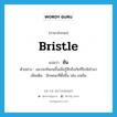 bristle แปลว่า?, คำศัพท์ภาษาอังกฤษ bristle แปลว่า ชัน ประเภท V ตัวอย่าง แมวจะชันขนขึ้นเมื่อรู้สึกถึงภัยที่ใกล้เข้ามา เพิ่มเติม ลักษณะที่ตั้งขึ้น เช่น ขนชัน หมวด V