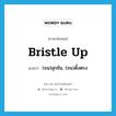 bristle up แปลว่า?, คำศัพท์ภาษาอังกฤษ bristle up แปลว่า (ขน)ลุกชัน, (ขน)ตั้งตรง ประเภท PHRV หมวด PHRV