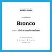 bronco แปลว่า?, คำศัพท์ภาษาอังกฤษ bronco แปลว่า ม้าป่าทางอเมริกาตะวันตก ประเภท N หมวด N