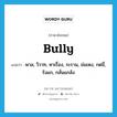 bully แปลว่า?, คำศัพท์ภาษาอังกฤษ bully แปลว่า พาล, วิวาท, หาเรื่อง, ระราน, ข่มเหง, กดขี่, รังแก, กลั่นแกล้ง ประเภท VI หมวด VI