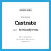 castrate แปลว่า?, คำศัพท์ภาษาอังกฤษ castrate แปลว่า สัตว์หรือคนที่ถูกทำหมัน ประเภท N หมวด N