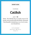 กด ภาษาอังกฤษ?, คำศัพท์ภาษาอังกฤษ กด แปลว่า catfish ประเภท N เพิ่มเติม ชื่อปลาไม่มีเกล็ด มีหนวด หลายชนิด หลายขนาด ครีบตอนหลัง ตอนแรกและครีบอกมีก้านครีบเป็นเงี่ยง ครีบตอนหลังที่สองเป็นแผ่นเนื้อ ส่วนใหญ่เป็นสกุล Arius ในวงศ์ Ariidae พบมากในเขตน้ำกร่อย หมวด N