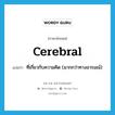 cerebral แปลว่า?, คำศัพท์ภาษาอังกฤษ cerebral แปลว่า ที่เกี่ยวกับความคิด (มากกว่าทางอารมณ์) ประเภท ADJ หมวด ADJ