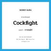 cockfight แปลว่า?, คำศัพท์ภาษาอังกฤษ cockfight แปลว่า การชนไก่ ประเภท N หมวด N