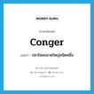 conger แปลว่า?, คำศัพท์ภาษาอังกฤษ conger แปลว่า ปลาไหลขนาดใหญ่ชนิดหนึ่ง ประเภท N หมวด N