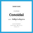 conoidal แปลว่า?, คำศัพท์ภาษาอังกฤษ conoidal แปลว่า สิ่งที่มีรูปร่างเป็นรูปรวย ประเภท N หมวด N