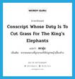 conscript whose duty is to cut grass for the king&#39;s elephants แปลว่า?, คำศัพท์ภาษาอังกฤษ conscript whose duty is to cut grass for the king&#39;s elephants แปลว่า ตะพุ่น ประเภท N เพิ่มเติม พวกคนหลวงที่ถูกเกณฑ์ให้ปลูกหญ้าเลี้ยงช้าง หมวด N