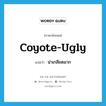 coyote-ugly แปลว่า?, คำศัพท์ภาษาอังกฤษ coyote-ugly แปลว่า น่าเกลียดมาก ประเภท SL หมวด SL