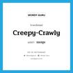 แมงมุม ภาษาอังกฤษ?, คำศัพท์ภาษาอังกฤษ แมงมุม แปลว่า creepy-crawly ประเภท SL หมวด SL