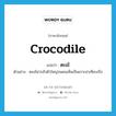 crocodile แปลว่า?, คำศัพท์ภาษาอังกฤษ crocodile แปลว่า ตะเข้ ประเภท N ตัวอย่าง ตะเข้น่ากลัวตัวใหญ่จนคนเห็นเป็นเกาะน่าเทียบเรือ หมวด N