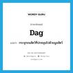 dag แปลว่า?, คำศัพท์ภาษาอังกฤษ dag แปลว่า กระจุกขนสัตว์ที่ปกคลุมไปด้วยมูลสัตว์ ประเภท N หมวด N