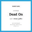 dead on แปลว่า?, คำศัพท์ภาษาอังกฤษ dead on แปลว่า ตรงเผง, ถูกต้อง ประเภท SL หมวด SL