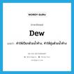 ทำให้เปียกด้วยน้ำค้าง, ทำให้ชุ่มด้วยน้ำค้าง ภาษาอังกฤษ?, คำศัพท์ภาษาอังกฤษ ทำให้เปียกด้วยน้ำค้าง, ทำให้ชุ่มด้วยน้ำค้าง แปลว่า dew ประเภท VT หมวด VT