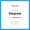 diagram แปลว่า?, คำศัพท์ภาษาอังกฤษ diagram แปลว่า แสดงด้วยแผนภาพ ประเภท VT หมวด VT