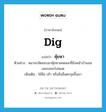 dig แปลว่า?, คำศัพท์ภาษาอังกฤษ dig แปลว่า คุ้ยหา ประเภท V ตัวอย่าง หมาจรจัดชอบมาคุ้ยหาเศษขยะที่ถังหน้าบ้านจนเลอะเทอะไปหมด เพิ่มเติม ใช้มือ เท้า หรือสิ่งอื่นตะกุยขึ้นมา หมวด V