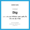 dig แปลว่า?, คำศัพท์ภาษาอังกฤษ dig แปลว่า เจาะ, ขุด, ทำเป็นโพรง, ขุดหา, ขุดค้น, ทิ่ม, แทง, แยง, คุ้ย, กระทุ้ง ประเภท VI หมวด VI