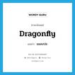 แมลงปอ ภาษาอังกฤษ?, คำศัพท์ภาษาอังกฤษ แมลงปอ แปลว่า dragonfly ประเภท N หมวด N