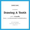 drawing a tooth แปลว่า?, คำศัพท์ภาษาอังกฤษ drawing a tooth แปลว่า การถอนฟัน ประเภท N ตัวอย่าง อาจารย์หมอสอนเทคนิคการถอนฟันให้กับนักศึกษา หมวด N