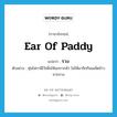 ear of paddy แปลว่า?, คำศัพท์ภาษาอังกฤษ ear of paddy แปลว่า รวง ประเภท N ตัวอย่าง หุ่นไล่กามีไว้เพื่อให้นกกากลัว ไม่ให้มาจิกกินเมล็ดข้าวจากรวง หมวด N