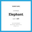 elephant แปลว่า?, คำศัพท์ภาษาอังกฤษ elephant แปลว่า ดมไร ประเภท N หมวด N