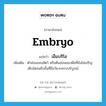 embryo แปลว่า?, คำศัพท์ภาษาอังกฤษ embryo แปลว่า เอ็มบริโอ ประเภท N เพิ่มเติม ตัวอ่อนของสัตว์ หรือต้นอ่อนของพืชที่ยังไม่เจริญเติบโตจนถึงขั้นที่มีอวัยวะครบบริบูรณ์ หมวด N